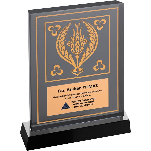 EKT-120 Kristal Plaket - resim 1