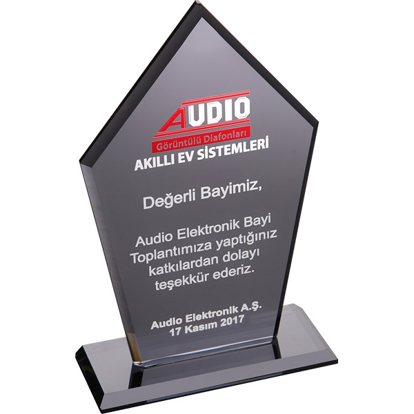 EKT-161-FM Kristal Plaket - resim 1