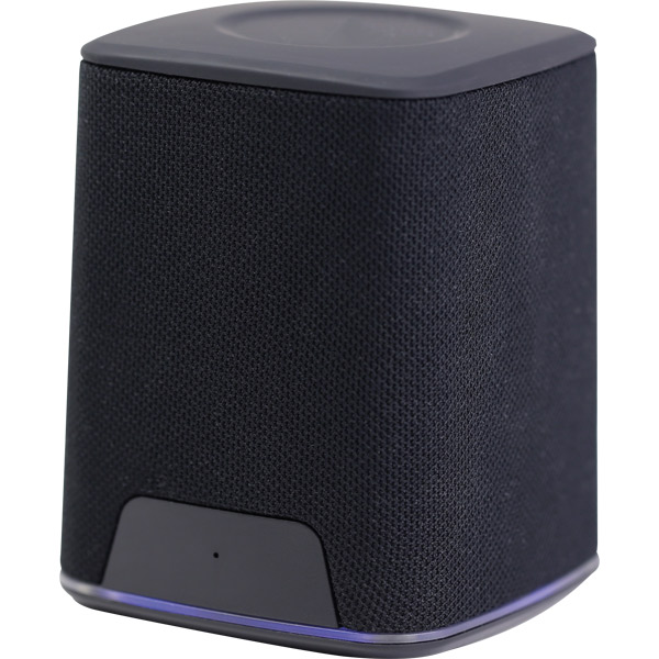 SPK-10 Speaker - resim 3
